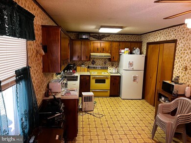 2528 Toddville Rd, Toddville, MD 21672 - photo 4