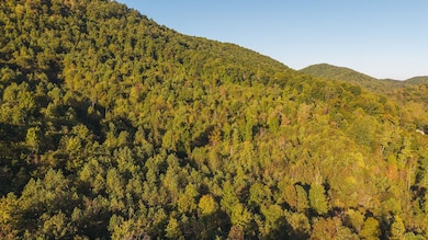 97 Acres Black Valley Rd, Sneedville, TN 37869 - photo 4