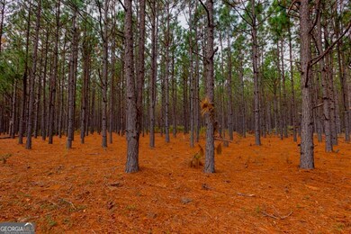 0 Bethel Rd unit TRACT 8 10425061, Sylvania, GA 30467 - photo 5