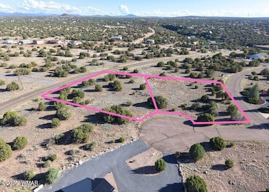 8455 W Yucca Place, Show Low, AZ 85901 - photo 2