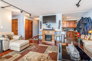 5455 N Sheridan Rd unit 2503, Chicago, IL 60640 - photo 6