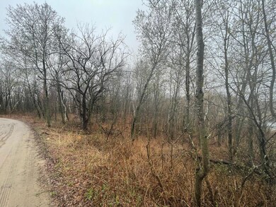 TBD Marble Dr, Cushing, MN 56443 - photo 5