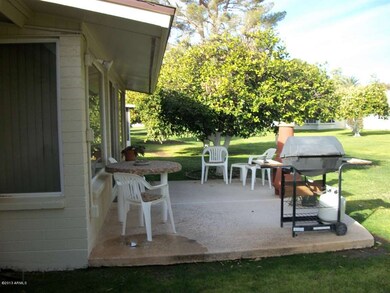 Rear Patio