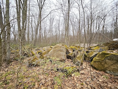 Illinois Ln Tract (15)