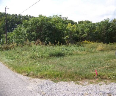 From the north east corner looking at the over-growth and trees behind.