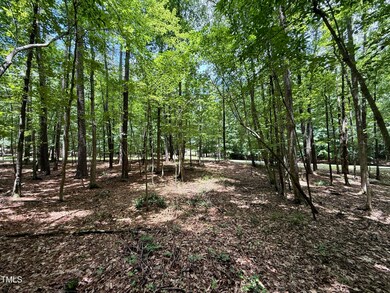 7 Edwards Ridge Rd, Chapel Hill, NC 27517 - photo 7