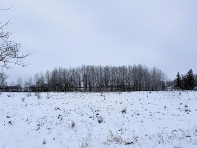 Lot 1 Old Fergus Rd SW, Pelican Rapids, MN 56572 - photo 3