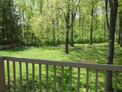 View from Rear Deck