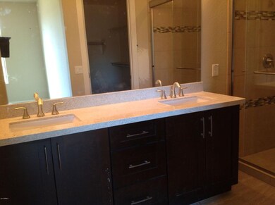 Master Bath Sinks
