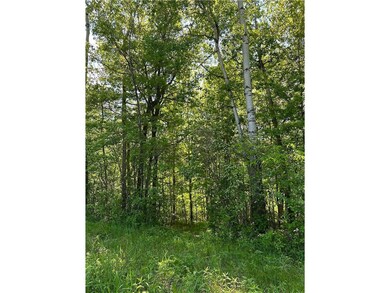 TBD 140th Street St, Amery, WI 54001 - photo 2