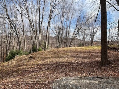 0 W Side Rd unit 54 5049810, Conway, NH 03818 - photo 3