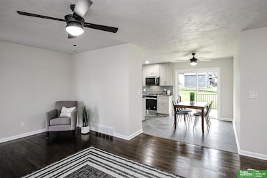 813 Janes View St, Papillion, NE 68046 - photo 4