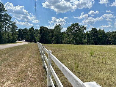 29815 Tudor Way, Magnolia, TX 77355 - photo 4