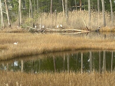 5480 Main St, Chincoteague Island, VA 23336 - photo 2