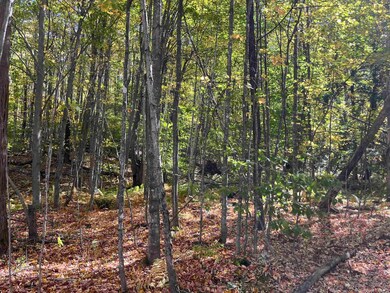 0 Leonard Rd, Pomfret, VT 05068 - photo 4