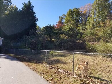 Fully fenced backyard with mature trees (dog not i