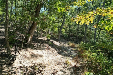 0 Evan Sisters Rd, Flemingsburg, KY 41041 - photo 5