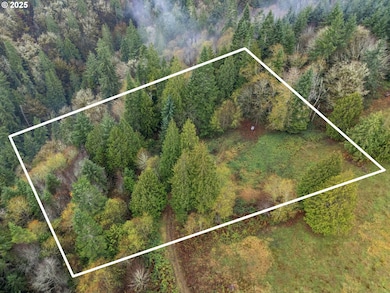 205 Newt Estates Rd, Longview, WA 98632 - photo 4