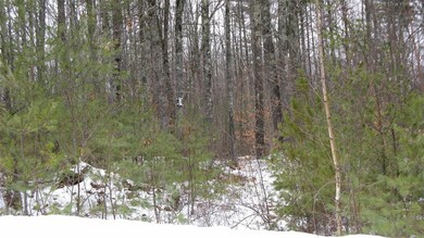 48 Chamberlin Way, New Durham, NH 03855 - photo 5