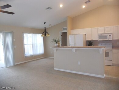 19 NW 28th Terrace, Cape Coral, FL 33993 - photo 7