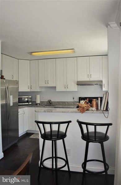 The Carolyn Condominiums unit 204, Silver Spring, MD 20910 - photo 4