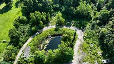 Driveway around the pond
