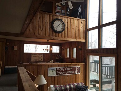 3 Lightning Ledge Way unit M401, Wilmington, VT 05363 - photo 4
