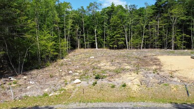 36 Lynx Ln, Berwick, ME 03901 - photo 3