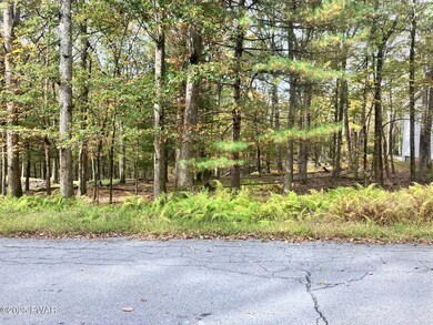 0 Butternut Rd, Dingman Township, PA 18337 - photo 4