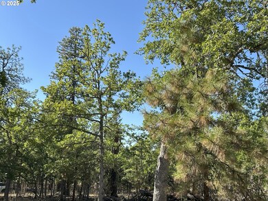 0 Hope Grove unit 430872245, Goldendale, WA 98620 - photo 6