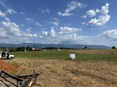 1910 Erwin Hwy, Tusculum, TN 37745 - photo 7