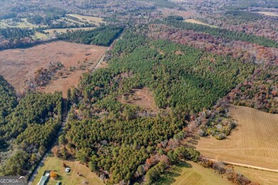 #46 Owens Dairy Rd, Lyerly, GA 30730 - photo 4