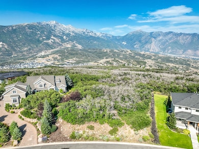 View of mountain background