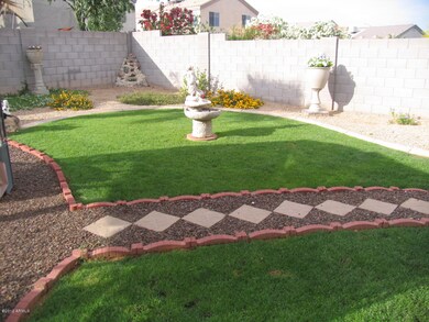 Gorgeous back yard