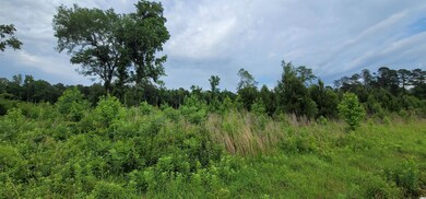 7400 Pauley Swamp Rd, Conway, SC 29527 - photo 4