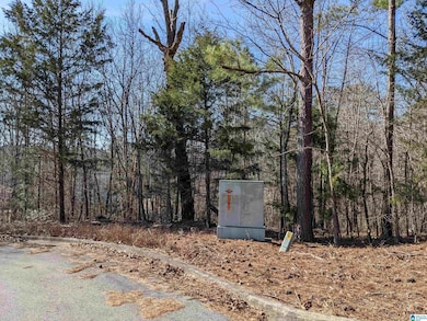 0 (Lot 242) Winfrey Ln unit 242, Anniston, AL 36206 - photo 4