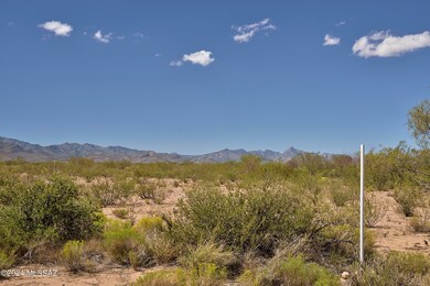 From SE Corner Across Property
