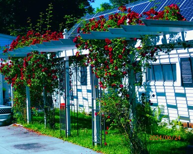 rosetreless