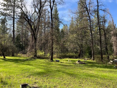 Green Meadows