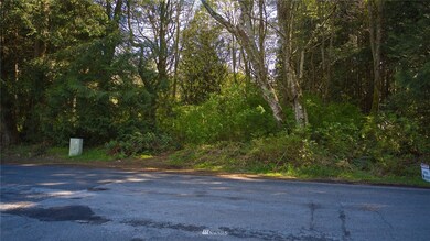 1751 Benson Rd, Point Roberts, WA 98281 - photo 4