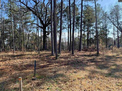 0 Misty Banks Dr unit 605235, Chapin, SC 29036 - photo 3