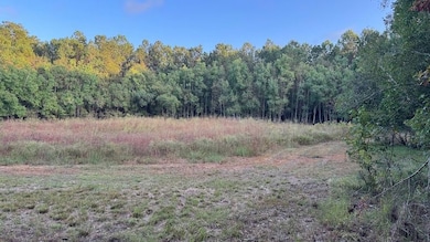 0 Lower Bay Rd unit LotWP001, Waveland, MS 39520 - photo 5