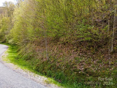 93 Goldenleaf Rd unit 93 & 95, Mars Hill, NC 28754 - photo 7