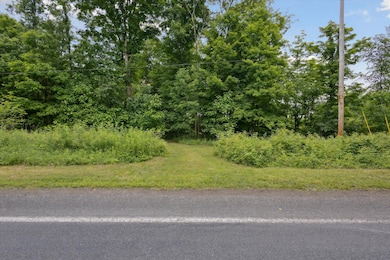 VL Douglas Ave, Plainwell, MI 49080 - photo 4