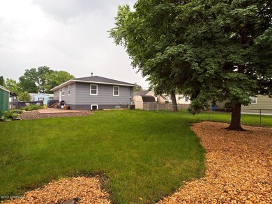 backyard2