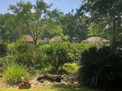 6924 back garden pond