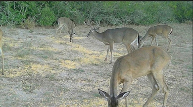 0 County Road 284 Rd unit ACT3597914, Benavides, TX 78342 - photo 6