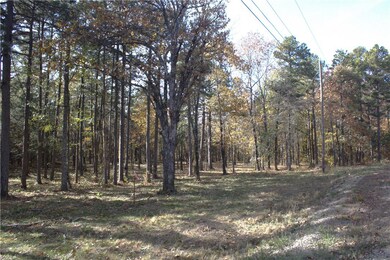 0 4540 Rd unit 1306170, Ozone, AR 72854 - photo 5
