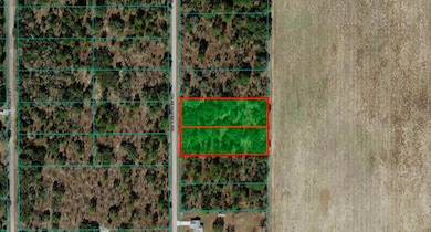 1281 SW Viburnum Rd, Dunnellon, FL 34431 - photo 2