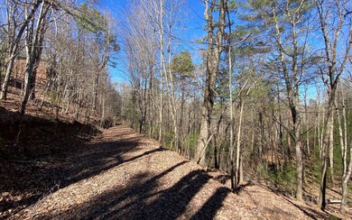 L2&3 My Mountain Rd, Morganton, GA 30560 - photo 4